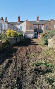 Before Garden Clearance
