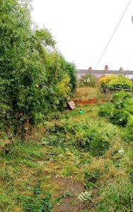 Before House Clearance